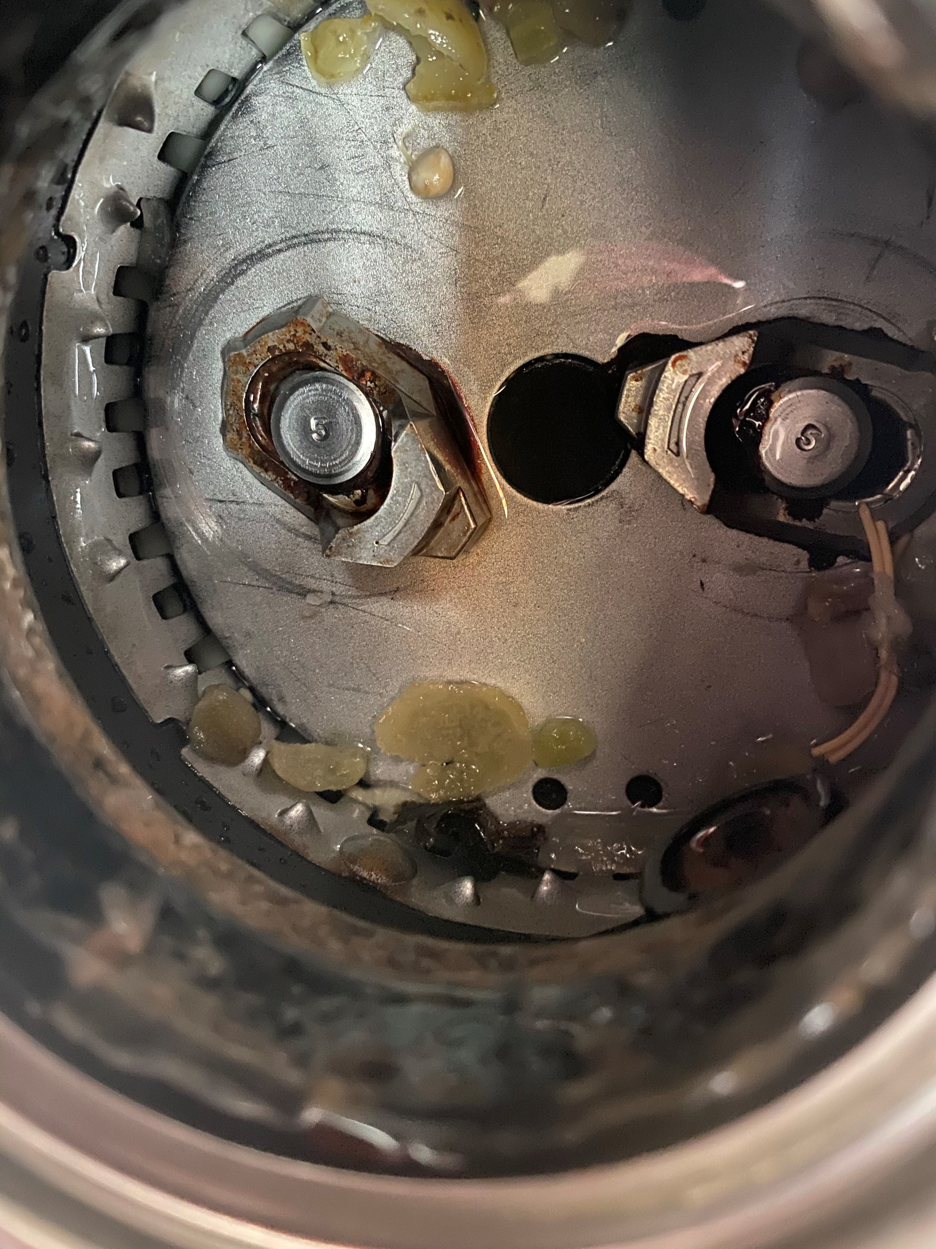 Stainless Steel Garbage Disposal Grinder Chamber After 5 Years of Use
