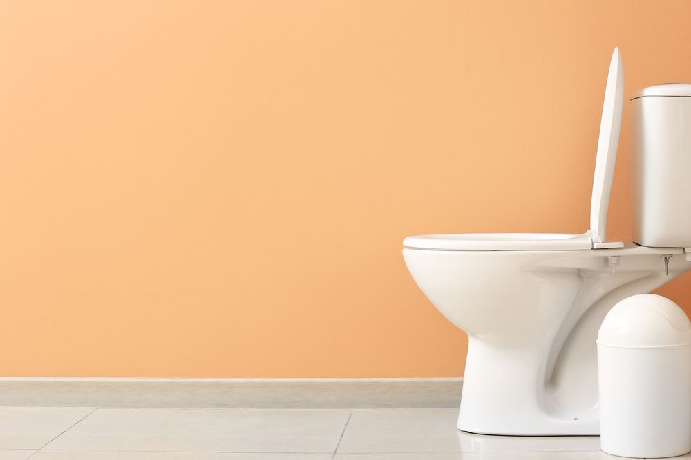 How to Prevent Pink Ring in Toilet Bowl Keep Your Throne Spotless